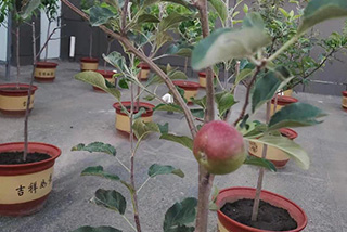 屋顶接待一区
